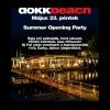 2008-05-23 Summer Opening Party (Dokk Beach) ( )