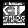 2008-02-09 FieLDS K-1 World Grand Prix (Papp László Budapest Aréna) ( )