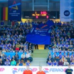 2015-12-05 MOL-Pick Szeged - Rhein-Neckar Löwen (Városi Sportcsarnok )